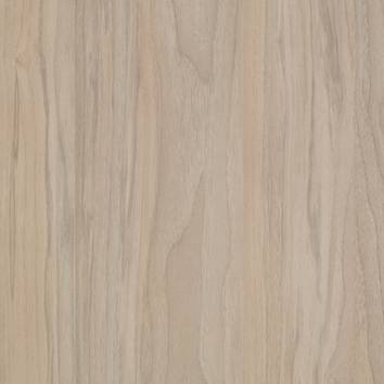 Noce Beige Noce Beige